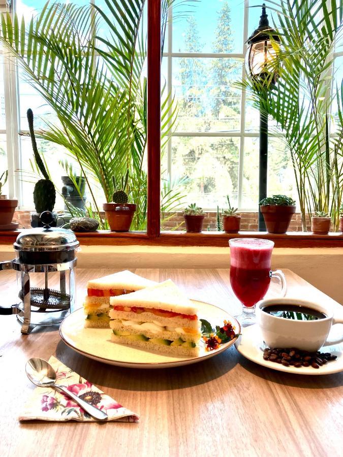 Quito Terrace Pansiyon Dış mekan fotoğraf